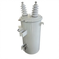 Oferta Especial: Transformador de Distribución Monofásico de 75 kVA, 10 kV, 60 Hz, con Aceite, 100% Cobre, S11/13, para Montaje en Poste
