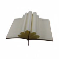 Bestseller Moles kins Pu Notebook Werbe geschenk Tagebuch Stationäres Notizbuch Journal Journal Stationäres Leder Reise heft
