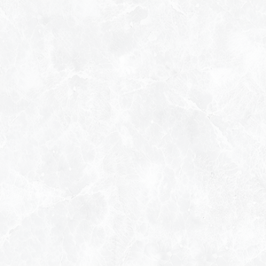 Azulejos de Cerámica con Acabado Pulido Modelo 1160-L 300x600mm - Product Image 1