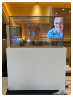 Pantalla OLED Transparente de 55 Pulgadas con Resolución 1920x1080, Compatible con SDK de Píxeles de 3mm, Utilizada para Publicidad en Metro