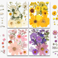 Assortiment de 15 fleurs séchées pressées pour la fabrication de bougies parfumées, les sceaux de cire et la décoration de savons artisanaux