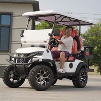 Voiturette de golf multifonctionnelle 5-6 places à essence, buggy de tourisme à énergie nouvelle certifié CEE 72V, personnalisation du logo et de la couleur, prise en charge OEM
