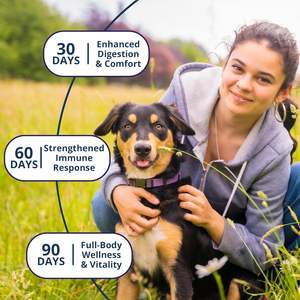 Golosinas Masticables Probióticas para Perros para la Salud Intestinal y el Apoyo Inmunológico, Absorción Rápida - Golosinas Masticables Probióticas para Perros - Product Image 3