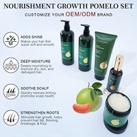 Sampo Herbal Organik Vegan Bebas Silikon Anti-Ketombe Melembapkan Mengontrol Minyak Memperbaiki Kulit Kepala Mengurangi Kerusakan Rambut Memperbaiki Rambut