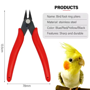 Alicates <span class=keywords><strong>de</strong></span> corte <span class=keywords><strong>de</strong></span> Anillo <span class=keywords><strong>de</strong></span> pie <span class=keywords><strong>de</strong></span> pollo Tijeras <span class=keywords><strong>de</strong></span> corte <span class=keywords><strong>de</strong></span> anillo <span class=keywords><strong>de</strong></span> pierna <span class=keywords><strong>de</strong></span> pájaro Borde afilado Aves <span class=keywords><strong>de</strong></span> Corral Paloma Alicates <span class=keywords><strong>de</strong></span> anillo <span class=keywords><strong>de</strong></span> pierna <span class=keywords><strong>de</strong></span> pájaro - Product Image 3