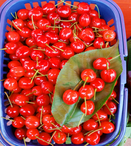 Оптовая продажа, новый урожай, завод, прямой экспорт, красная замороженная Вишня - Product Image 1