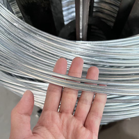 Fabricant de fil d'acier galvanisé 0,7 mm 0,8 mm 0,9 mm 1,8 mm 1,9 mm Fil GI pour applications de clôture et de suspension