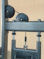 Máquina de Dominadas Asistidas Comercial SF90 008 con Selector para Gimnasio