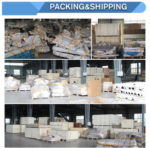 Équipement de Gymnastique Commercial de Haute Qualité DGZ, Machine Sportive, Équipement de Gym Complet, Usine de 30 000 m² Établie en 2018 dans le Shandong - Product Image 5