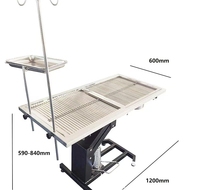 Table chirurgicale électrique pour animaux de compagnie en acier inoxydable 304, table de dissection chauffée à température contrôlée, lit chirurgical pour animaux