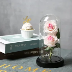 Deux roses pâles.