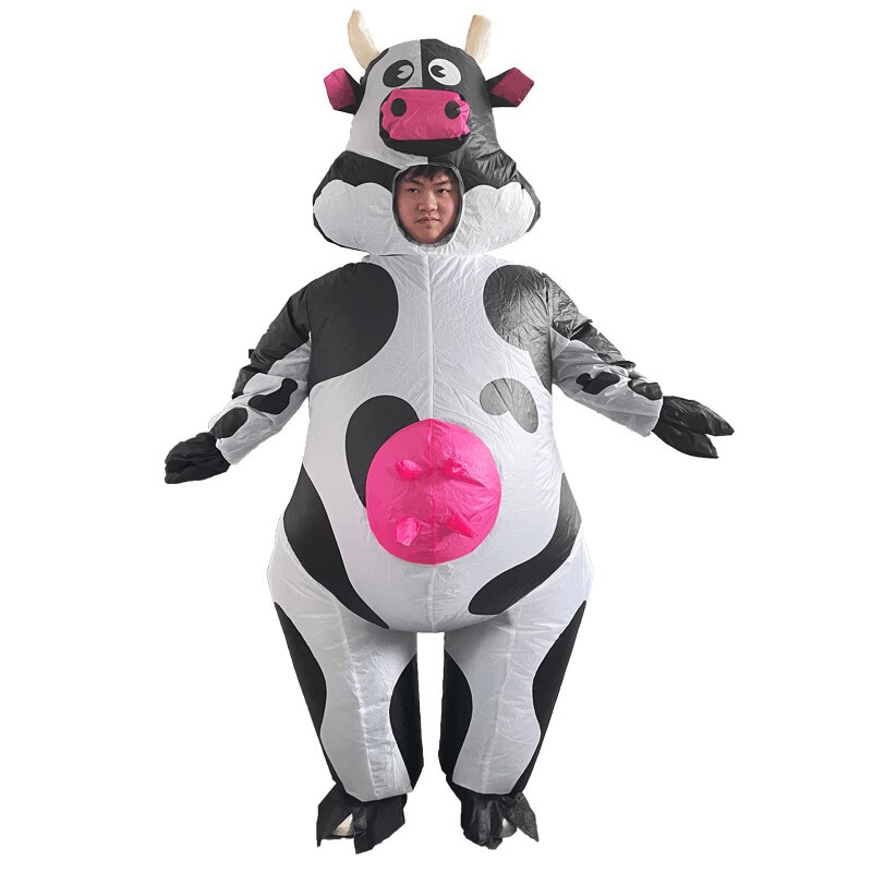 Matériel d'exportation pour vaches adultes Bobo.