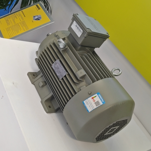 Moteur asynchrone triphasé Innomotics 125 kW 145 kW 6 pôles 1LE0003 B3 380 V CA 50 Hz 60 Hz IE2 960 tr/min 1160 tr/min - Product Image 5