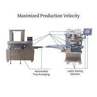 Machine à fabriquer des biscuits industrielle multifonctionnelle automatique HJ-860 de forme panda à haute productivité, certifiée CE, pour farine et eau