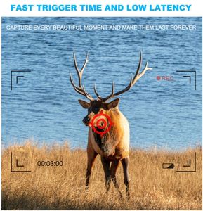 Caméra de chasse solaire 4MP 4G avec carte SIM, déclencheur à détection de mouvement, vision nocturne, étanche IP66 pour l'observation de la faune - Product Image 4