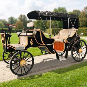 Fabricant de chariots à chevaux électriques de tourisme Victoria personnalisés de qualité supérieure - Product Image 1