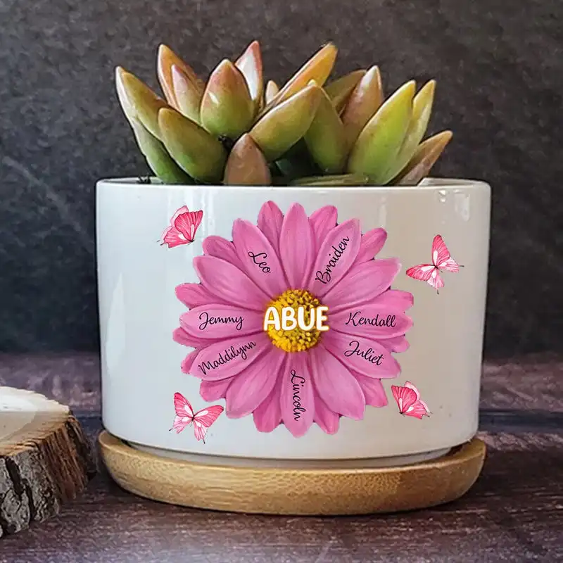 Personalizado abuela mamá flor mariposas mejor regalo Día DE LA MADRE cumpleaños planta de cerámica maceta suculenta