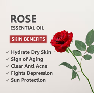 100%ピュアコールドプレスダマスカスローズボディオイル、環境に優しい肌活性化保湿剤、天然成分、化粧品グレード - Product Image 5