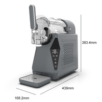 Traditioneel Nieuw Model Goedkoop Aangepast Privélabel 120v 240v Fruit Slush IJsmachine ISlushy Maker Smoothie Maker