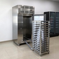 Congélateur à choc industriel 15 plateaux, entièrement en acier inoxydable SUS304, pour congélation rapide de la viande