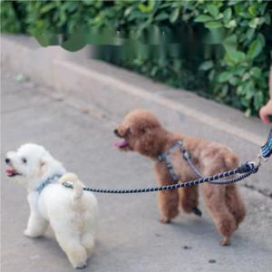 Fábrica Stock Dog Chumbo para dois cães de uma só vez Double-ended Dog Cadeia Pet Leash para Teddy e Golden Retriever Pet fornecimentos - Product Image 2