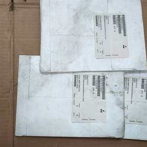 6DD1610-0AH0/6DD1611-0AD0/6DD1611-0AG0 Módulo de Salida Digital de Memoria SIMATIC Program Coupler MM4 en Stock - Product Image 6