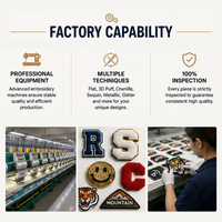 Patchs brodés ODM de haute qualité pour usine, appliques logo de marque personnalisées, imprimées, thermocollantes ou à coudre pour chapeaux