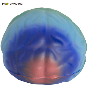 Khuyến Mại Cầu Vồng <span class=keywords><strong>Brain</strong></span> Shape Căng Thẳng Bóng Bọt Não Chống Căng Thẳng Đồ Chơi - Product Image 4