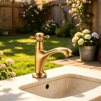 Robinet d'extérieur vintage antique en bronze, simple, pour eau froide, en laiton massif, pour jardin, pelouse, piscine, cour