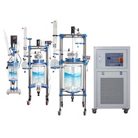 Chaudière de réaction en verre à double enveloppe pour laboratoire avec moteur, capacité de 1 à 10 L, équipement chimique à haute productivité