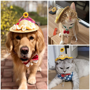 Nuevo Sombrero para Mascotas de Poliéster, Plástico y Nailon con Patrón Sólido para Perros/Gatos Pequeños - Accesorios de Moda para Mascotas de Verano/Invierno - Product Image 6