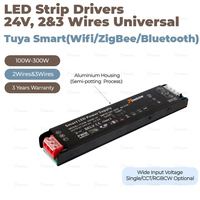 Tuya ZigBee feux sur rail avec Projection 2-wire CCT belt LED track light.100-watt et 20-watt DALI têtes de lumière sur rail