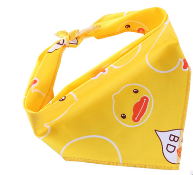 รูปแบบ A