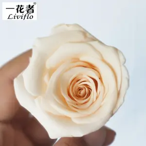 Wholesale High Quality Beautiful Rose Heads Preserve Big Roses Preserved Flowers