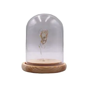 Wholesale Glass Domes with LED Light for Flower Home Decoration
