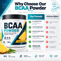 Poudre de BCAA à Marque Blanche 2:1:1 Acides Aminés à Chaîne Ramifiée Complément Nutritionnel Sportif pour la Récupération Musculaire et l'Énergie des Adultes