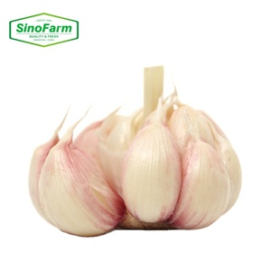 Ajo Orgánico <span class=keywords><strong>Fresco</strong></span> de Granja para Sazonar Curry, Soplas y Bocadillos - Product Image 2