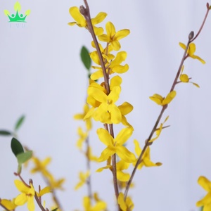 Fleurs de <span class=keywords><strong>jasmin</strong></span> <span class=keywords><strong>d</strong></span>'<span class=keywords><strong>hiver</strong></span> artificielles <span class=keywords><strong>en</strong></span> <span class=keywords><strong>pot</strong></span> de soie pour la <span class=keywords><strong>d</strong></span>écoration de restaurant de centre commercial <span class=keywords><strong>d</strong></span>'ouverture de fête de mariage à la maison - Product Image 5