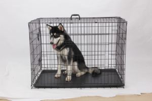 Vietnam'da yapılan çoklu boyutları çift kapı katlanabilir Metal tel kedi köpek sandık evcil hayvan kafesi - Product Image 5