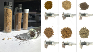 Machine à Granulés pour Aliments Aquatiques à Petite Échelle, Extrudeuse Électrique pour Aliments à Poissons Flottants/Coulants, Prix de la Machine de Fabrication de Granulés - Product Image 4