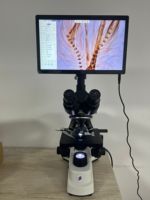 Caméra de microscope 4K WIC-1160-4K avec écran IPS de 11,6 pouces, 8MP, 30FPS, HDMI, USB, caméra numérique pour tablette, pour inspection et mesure