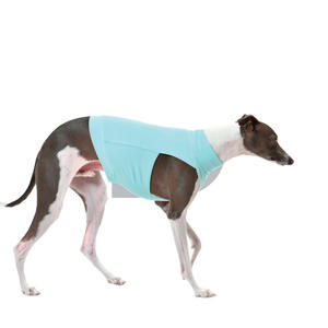 प्यारा ठोस पॉलिएस्टर आकस्मिक पर्यावरण के लिए गर्म त्वरित-शुष्क सांस लेने योग्य खेल - Product Image 3