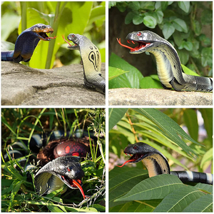 Juguete Eléctrico Certificado por CPC para Adultos, <span class=keywords><strong>Juego</strong></span> de Fiesta Aterrador, Cobra Naja Realista, Recargable por USB, Broma, Serpiente de Plástico con Control Remoto - Product Image 5