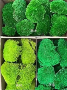 Natural Preserved <strong>Bun</strong> <strong>Moss</strong> Wall Preserved Pole <strong>Moss</strong> Preserved Pole <strong>Moss</strong> - Product Image 3