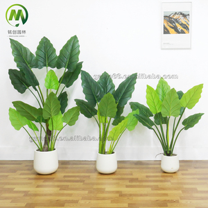 Real Touch pequeño bonsái artificial árbol verde interior decorativo falso plástico primavera Taro individualmente hecho a mano para óptimo - Product Image 2