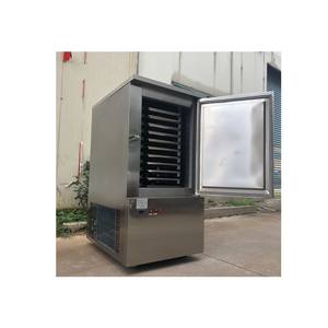 Máquina de Congelación Comercial de Fácil Operación para Vegetales, Octofrost Pornici, Camarones, <span class=keywords><strong>Pulpo</strong></span>, Pescado, Congelación Fluidizada IQF para Vegetales Verdes - Product Image 6