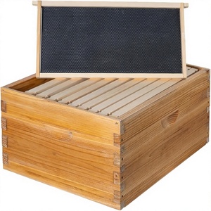Nouvelle ruche moyenne BEE 10 cadres, en plastique et bois, avec feuilles de fondation en cire d'abeille pré-assemblées - Product Image 1