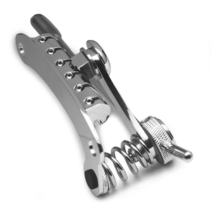 Tune-o-matic phong cách đàn Guitar điện cầu dừng thanh tailpiece Tremolo Tương thích với LP SG Guitar Đen/Vàng/CHROME - Product Image 3