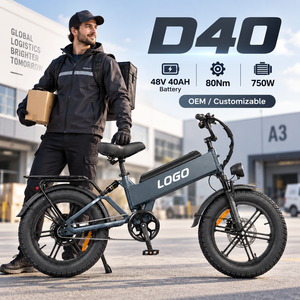 Vélo électrique D40 750W longue portée 48V 40AH cadre en aluminium pneu 20 pouces frein à disque personnalisable OEM - Product Image 1