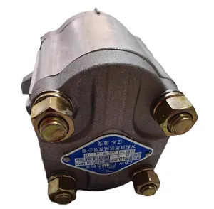 Bomba de engranajes WANKE CBW-F304/306/308/310/312/314/316/320/325/E///////318// - Product Image 4